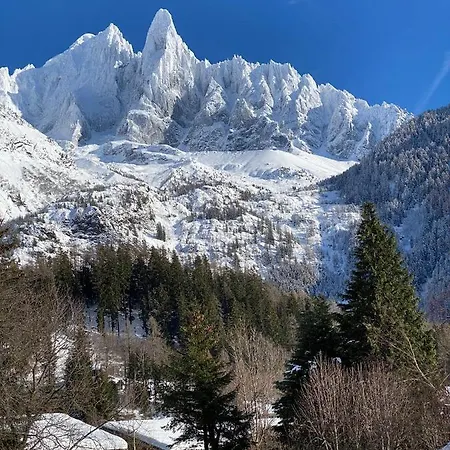 Chalet De L'aiguille 木屋 *