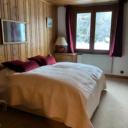 Chalet De L'aiguille 木屋 霞慕尼